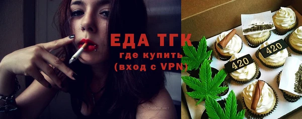 гидра Абаза