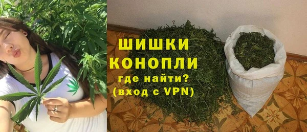 гидра Абаза