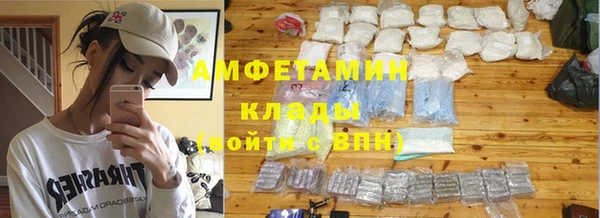 гидра Абаза
