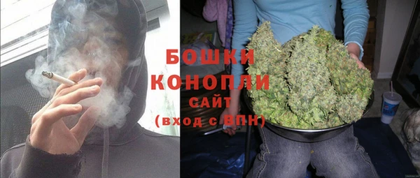 гидра Абаза