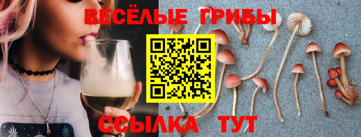 Псилоцибиновые грибы ЛСД Лабытнанги